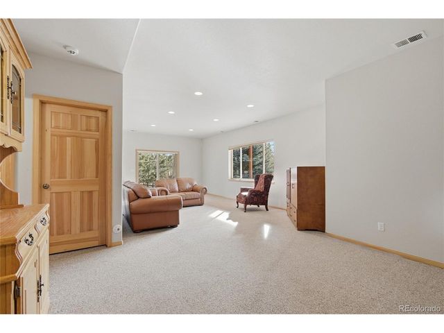 11864 S Stallion Dr, Pine, CO 80470