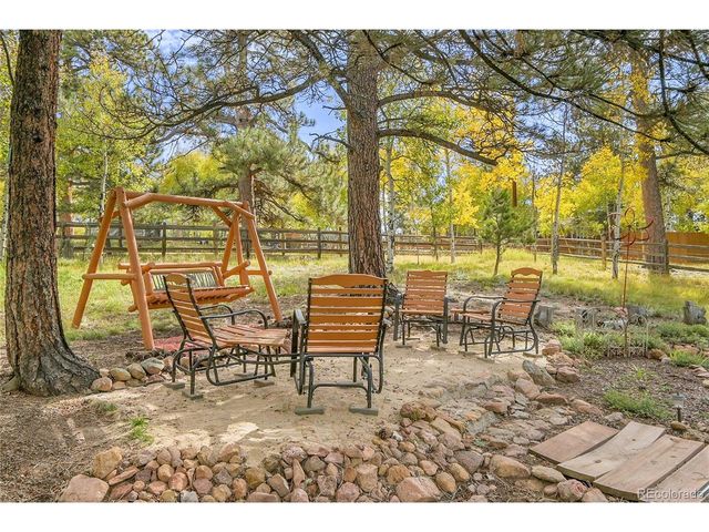 11864 S Stallion Dr, Pine, CO 80470