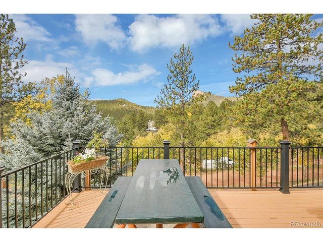 11864 S Stallion Dr, Pine, CO 80470