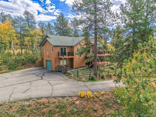 11864 S Stallion Dr, Pine, CO 80470