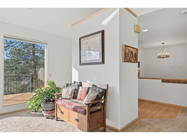 11864 S Stallion Dr, Pine, CO 80470
