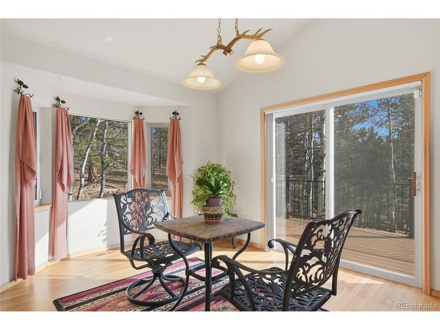 11864 S Stallion Dr, Pine, CO 80470