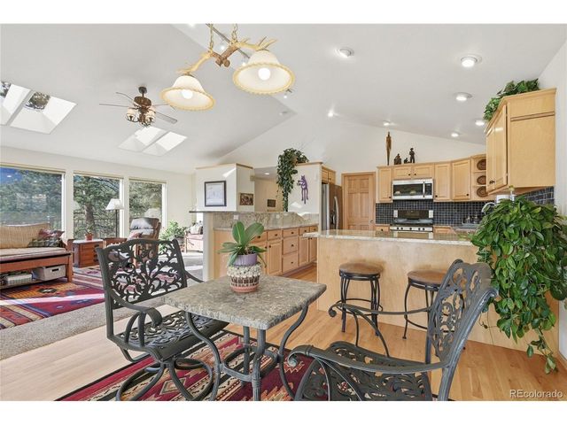 11864 S Stallion Dr, Pine, CO 80470