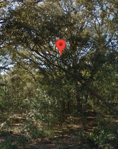NE 139TH STREET, Williston, FL 32696