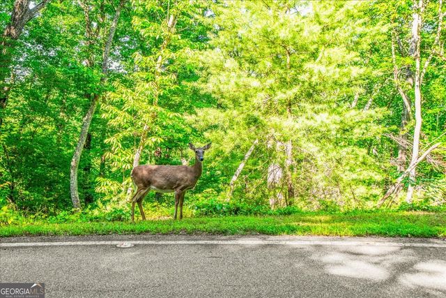88 Sanderlin Mtn Drive S, Big Canoe, GA 30143