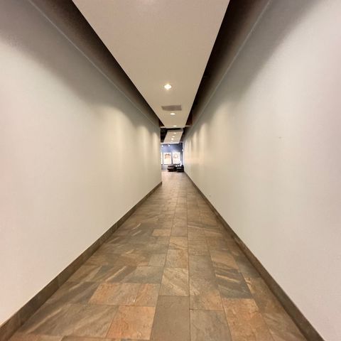 1631 S Michigan Avenue 402, Chicago, IL 60616