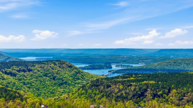 335 Serenity Way, Guild, TN 37340