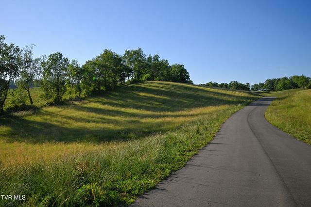34 Vineyard Farms Parkway, Butler, TN 37640