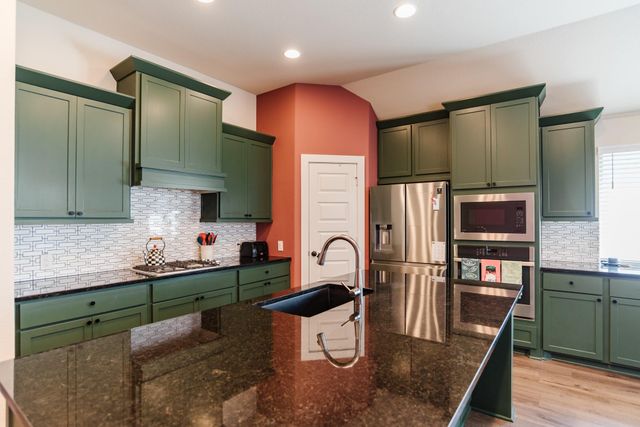 16712 Rakesh WAY, Manor, TX 78653