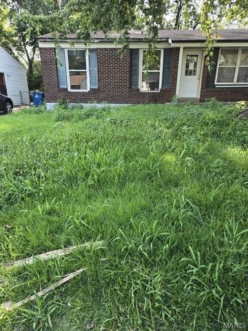 10357 Prince Drive, St Louis, MO 63136
