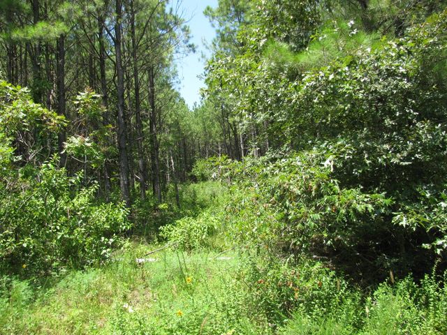 TBD JOSEE'S JOURNEY, Nashoba, OK 74558