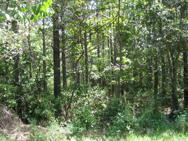 TBD JOSEE'S JOURNEY, Nashoba, OK 74558