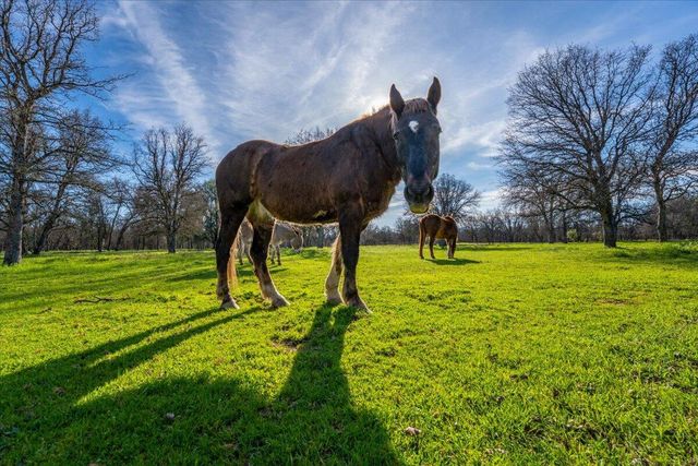 15525 Bowman Road, Cottonwood, CA 96022