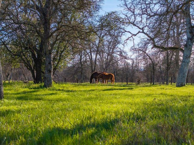 15525 Bowman Road, Cottonwood, CA 96022