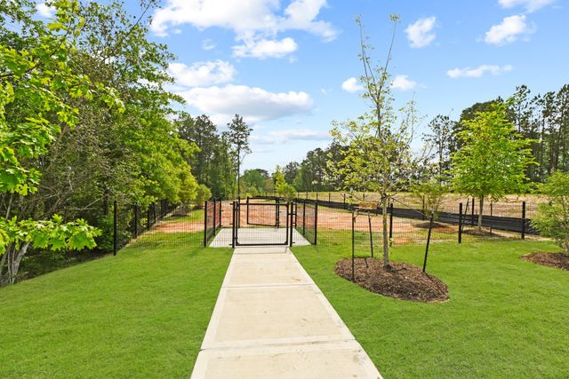 312 Mouflon Drive, Huntsville, TX 77320