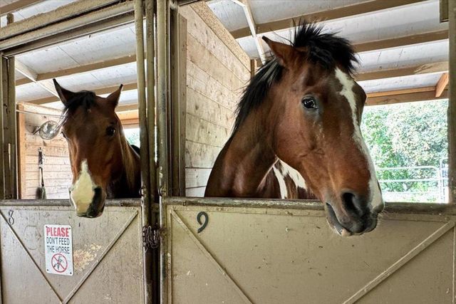 8816 Wine Valley Circle, San Jose, CA 95135