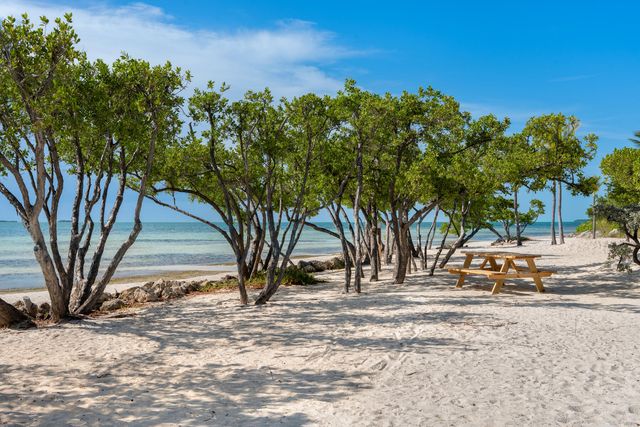 W 88 Plaza Del Lago, Lower Matecumbe, FL 33036