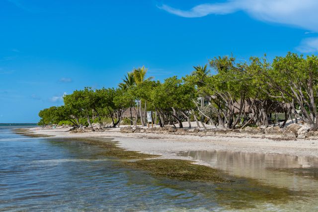 W 88 Plaza Del Lago, Lower Matecumbe, FL 33036