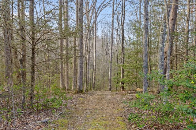 5426 Summerfield Lane, Signal Mountain, TN 37377