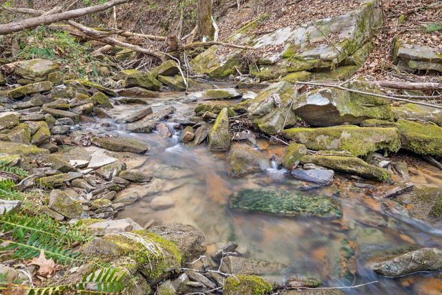 5426 Summerfield Lane, Signal Mountain, TN 37377