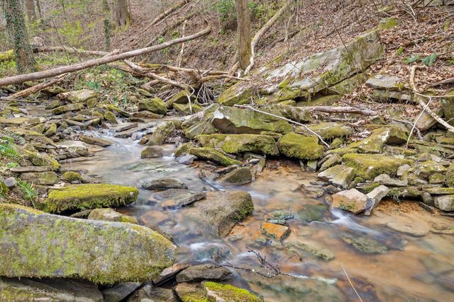 5426 Summerfield Lane, Signal Mountain, TN 37377