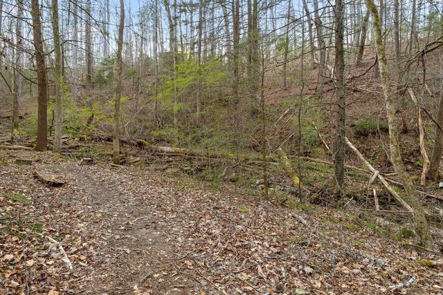 5426 Summerfield Lane, Signal Mountain, TN 37377