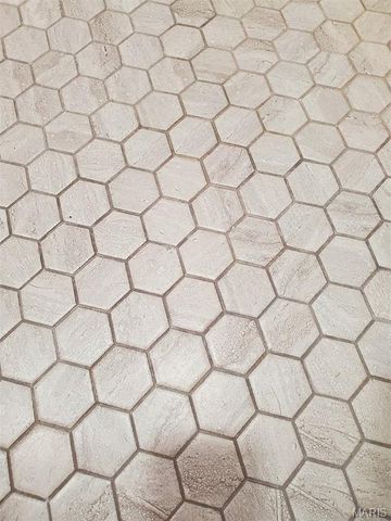 1093 N Cleveland Street, Kahoka, MO 63445