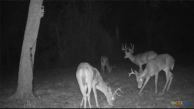 12641 FM 93, Belton, TX 76513