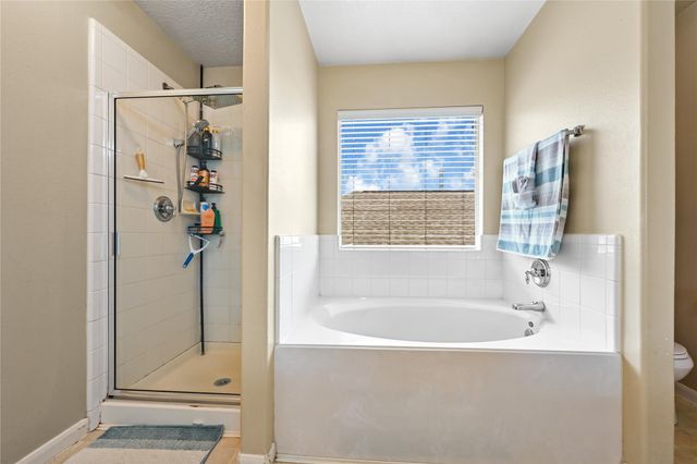 12227 Kings Path Lane, Houston, TX 77044