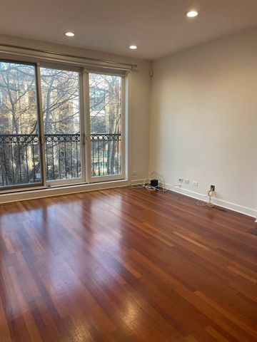 1024 N Honore Street 2, Chicago, IL 60622
