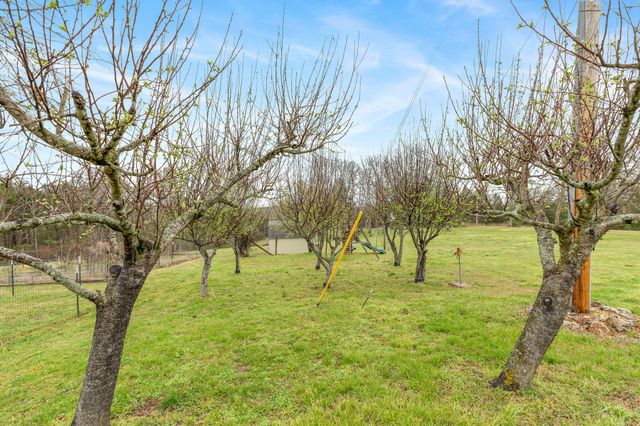 333 Bingham Road, Branson, MO 65616