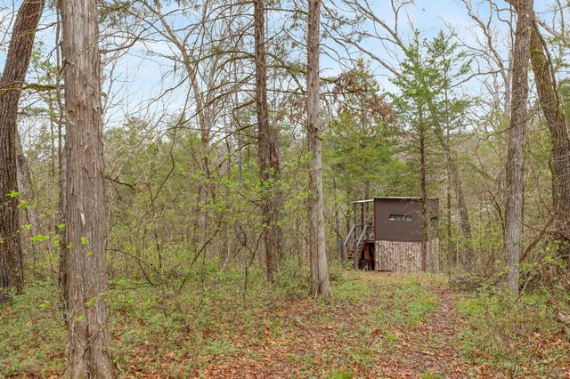 333 Bingham Road, Branson, MO 65616