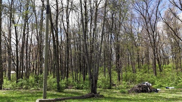 56896 Sunnyside Avenue, Cassopolis, MI 49031