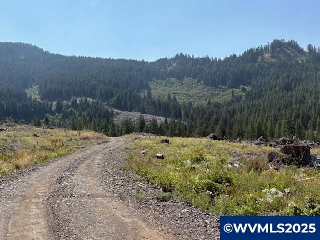 Image 1 of property listing at 0 Upper Neal Creek (160) Rd, Scio, OR 97374