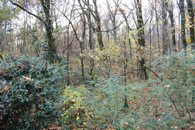 2962 WHITNEY AVE, Memphis, TN 38128