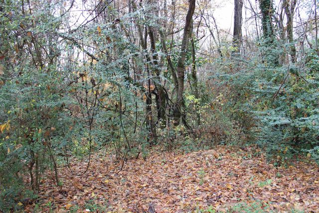 2962 WHITNEY AVE, Memphis, TN 38128