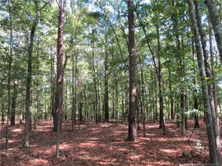 0 Rocky Fork Church Road, Sanford, NC 27332