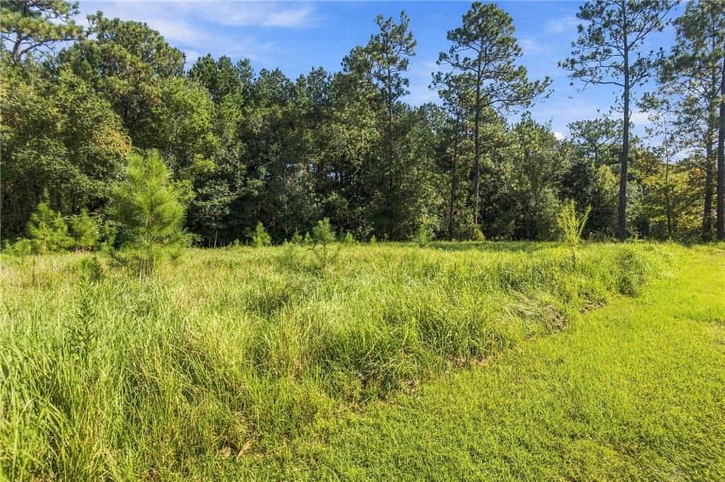 0 March Pointe Court, Theodore, AL 36582 — photo 2
