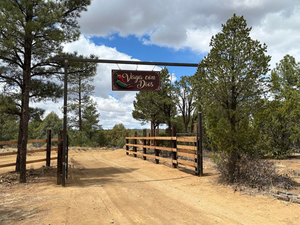 Image 3 of property listing at 37 Lasso Lane Lane, Pie Town, NM 87827