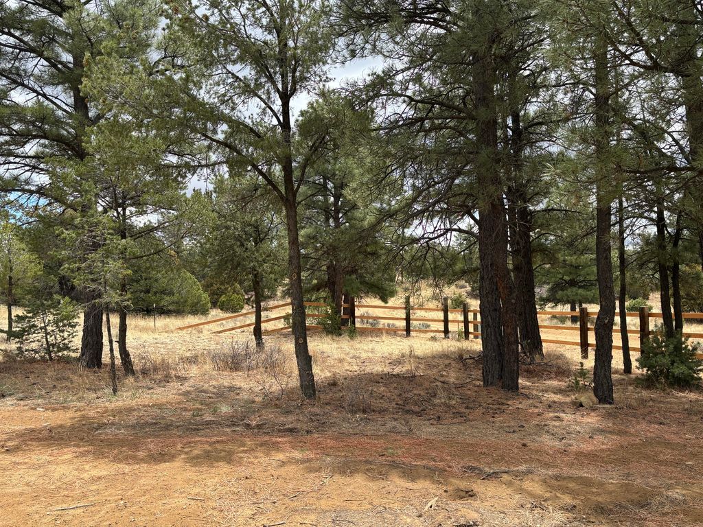 Image 4 of property listing at 37 Lasso Lane Lane, Pie Town, NM 87827
