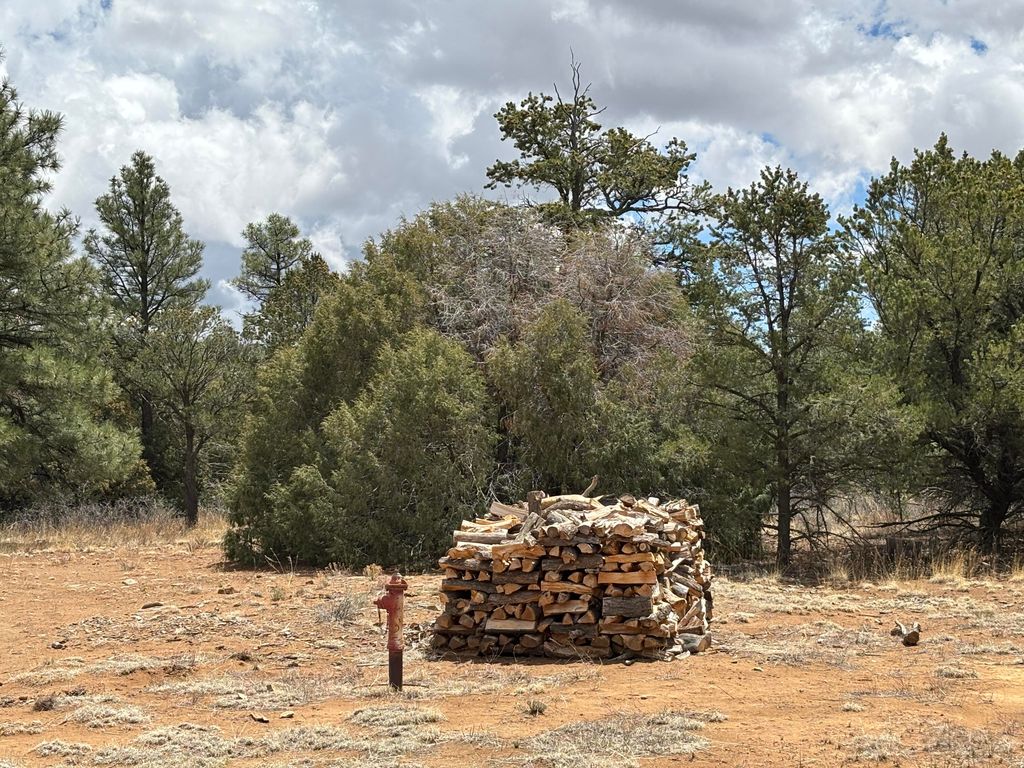 Image 48 of property listing at 37 Lasso Lane Lane, Pie Town, NM 87827