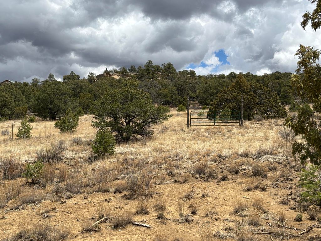 Image 51 of property listing at 37 Lasso Lane Lane, Pie Town, NM 87827