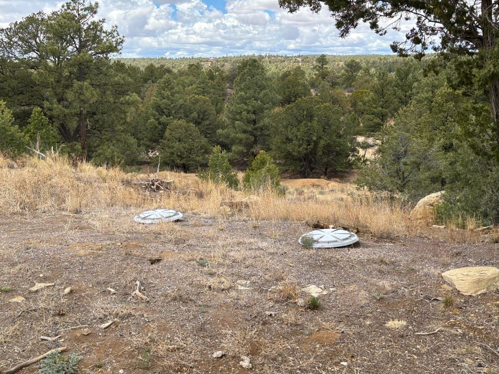 Image 53 of property listing at 37 Lasso Lane Lane, Pie Town, NM 87827