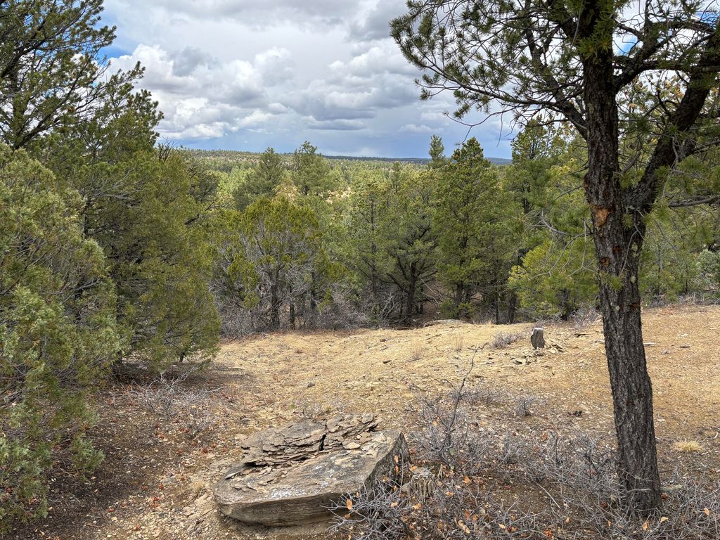 Image 55 of property listing at 37 Lasso Lane Lane, Pie Town, NM 87827