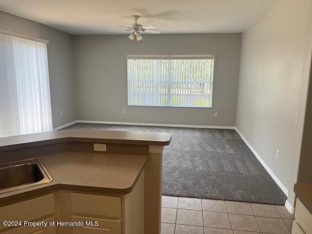 4467 Marsalis Court, Spring Hill, FL 34609
