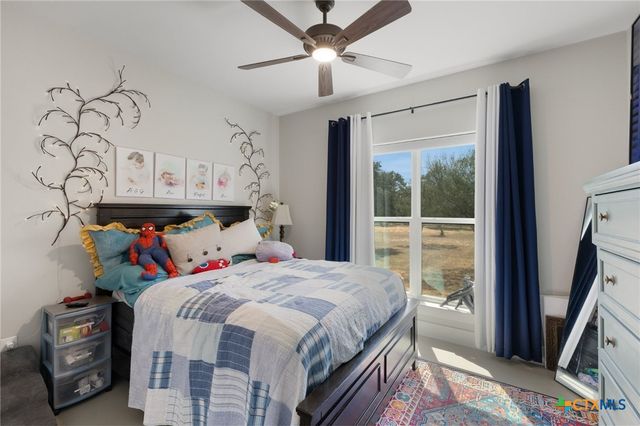 338 Morning Dew Drive, Round Mountain, TX 78663