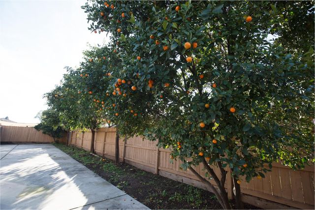 2668 Scott Avenue, Clovis, CA 93611