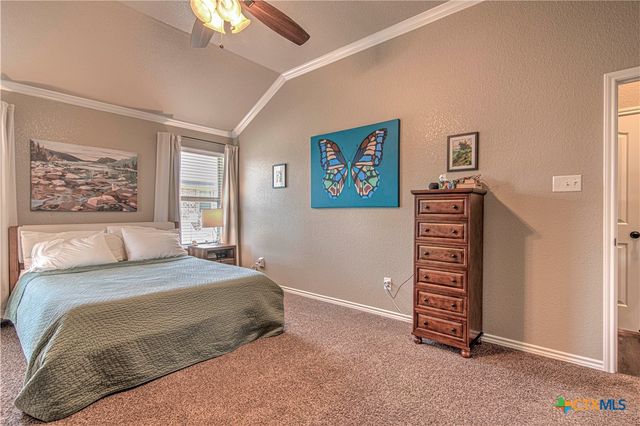 1120 Dark Wood Drive, Harker Heights, TX 76548