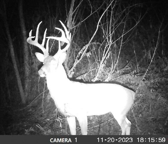 977 NW 1651 Road, Bates City, MO 64011