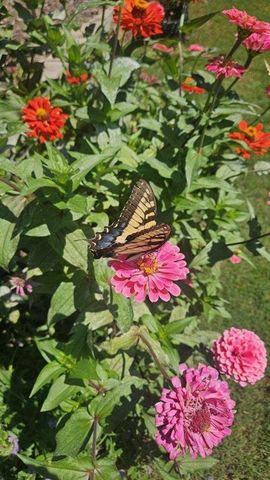 5440 Bentley Hall Drive, Alpharetta, GA 30005